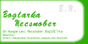 boglarka mecsnober business card